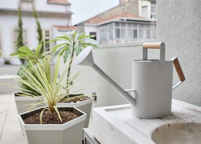 Viva Ildefonso Serviced *