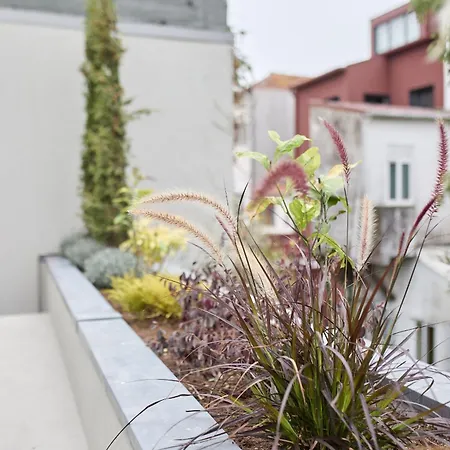 Viva Ildefonso Serviced Apartment *