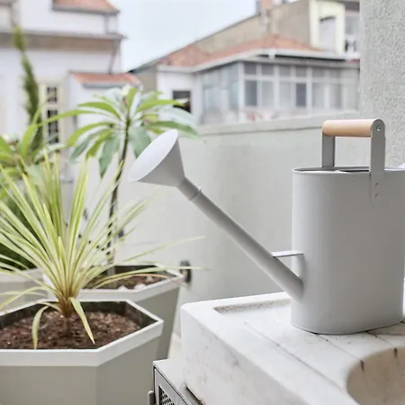 Viva Ildefonso Serviced *