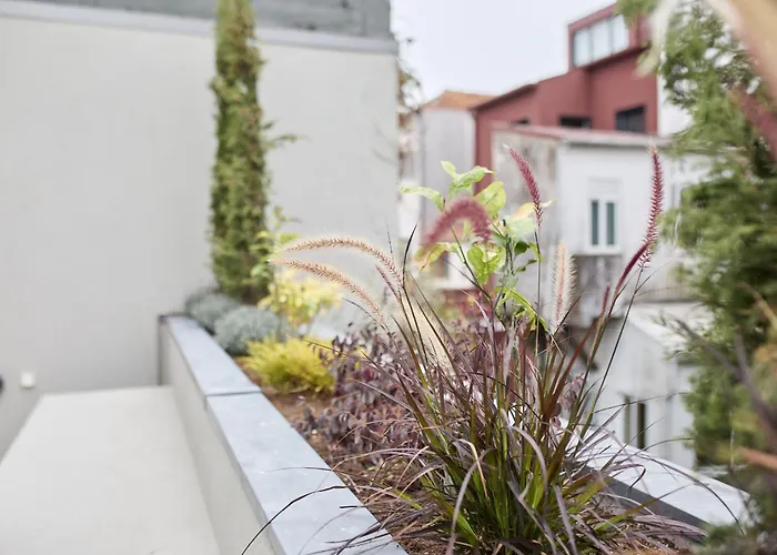 Viva Ildefonso Serviced Apartament *